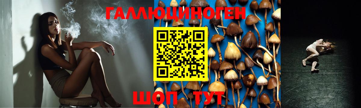 Галлюциногенные грибы мицелий  Вход с VPN  Холмск  Галлюциногенные грибы GOLDEN TEACHER 